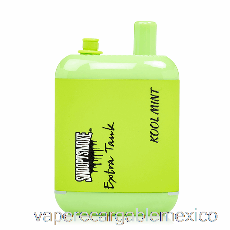 Vape Recargable Snoopy Smoke Extra Tanque 2 15000 Desechable Kool Mint